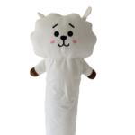 ALMOHADA RJ BT21
