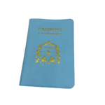 FUNDA PASAPORTE TRAVEL - CELESTE